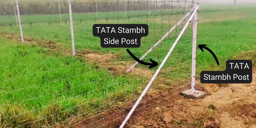 Installation of Tata Stambh Post (டாடா ஸ்டாம்ப் ஸ்டீல் வேலி போஸ்ட்) Installation of Tata Stambh Post (டாடா ஸ்டாம்ப் ஸ்டீல் வேலி போஸ்ட்)